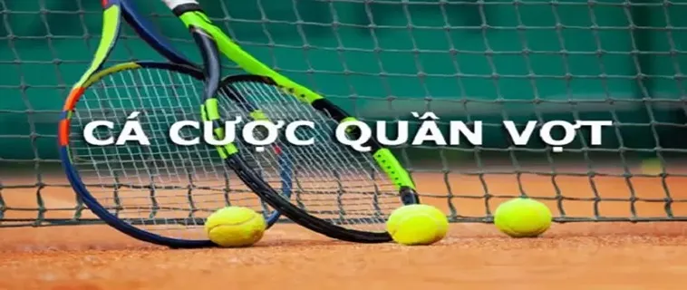 Quần Vợt 79SODO: Khám Phá Sân Chơi Đỉnh Cao Đầy Kịch Tính
